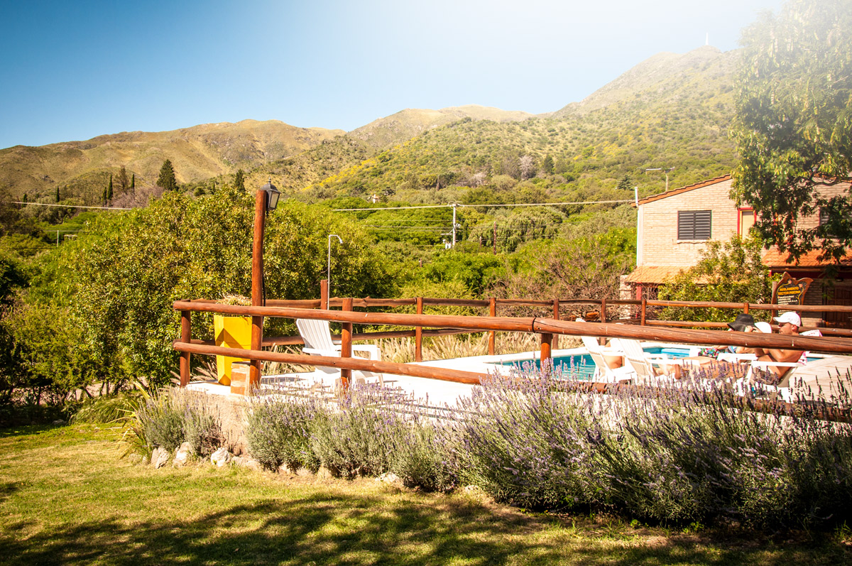 Vegetación autóctona de Los Cocos